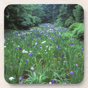 Hana Shobu (Japanische Wasser-Schwertlilie), Meiji Getränkeuntersetzer