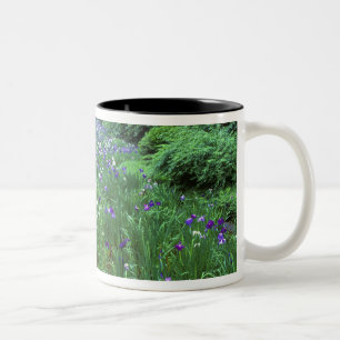 Hana Shobu (Japanischer Wassereiris), Meiji Shrine Zweifarbige Tasse