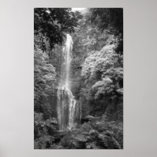 Hana Waterfall Poster
