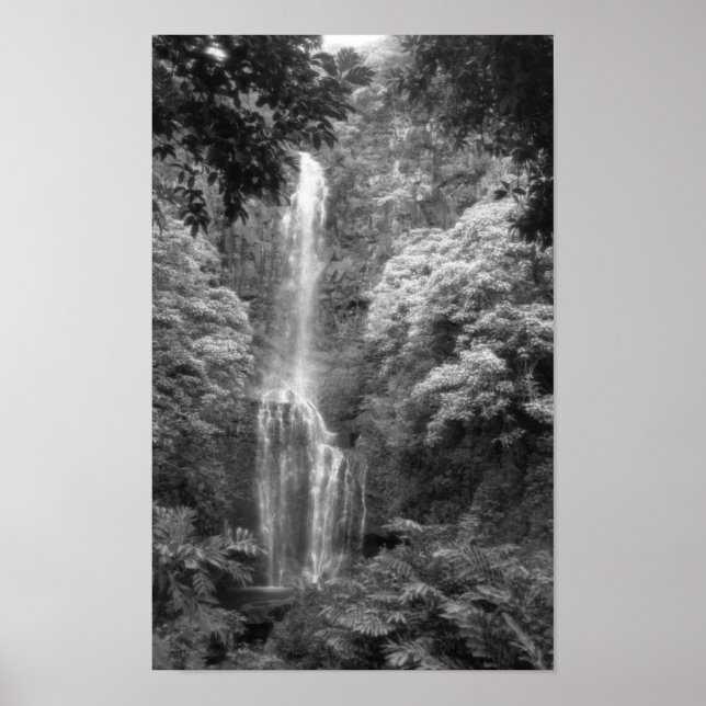 Hana Waterfall Poster (Vorne)