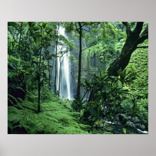 Hanakapiai fällt entlang der Na Pali Küste, Kauai, Poster