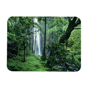 Hanakapiai-Wasserfall entlang der Na Pali Küste, K Magnet