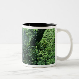 Hanakapiai Wasserfall entlang der Na Pali Küste, K Zweifarbige Tasse