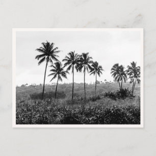 Hanalei Princeville Kauai Hawaii Schwarzweiß Postkarte