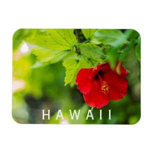 Hanalei Red Hibiskus Tropical Blume Magnet