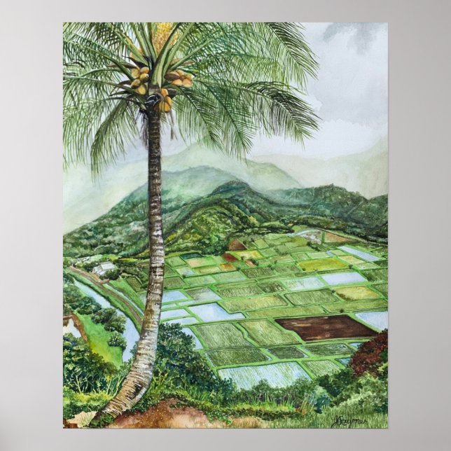 Hanalei Valley 16x20M Poster (Vorne)