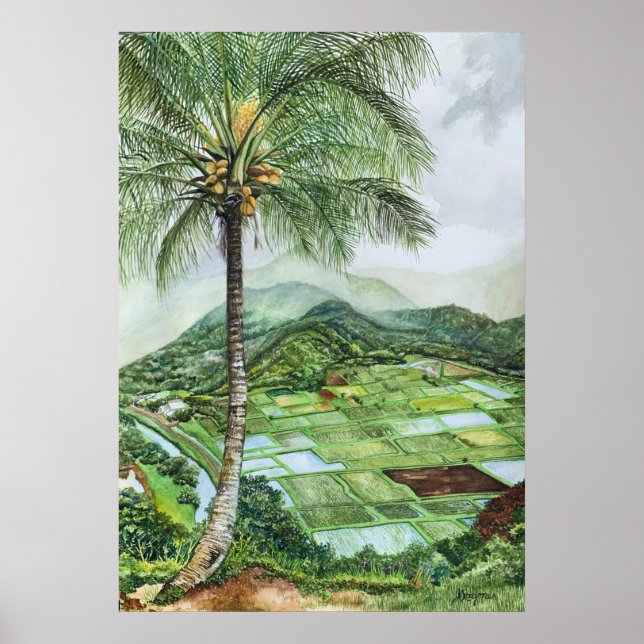 Hanalei Valley Lookout Poster (Vorne)
