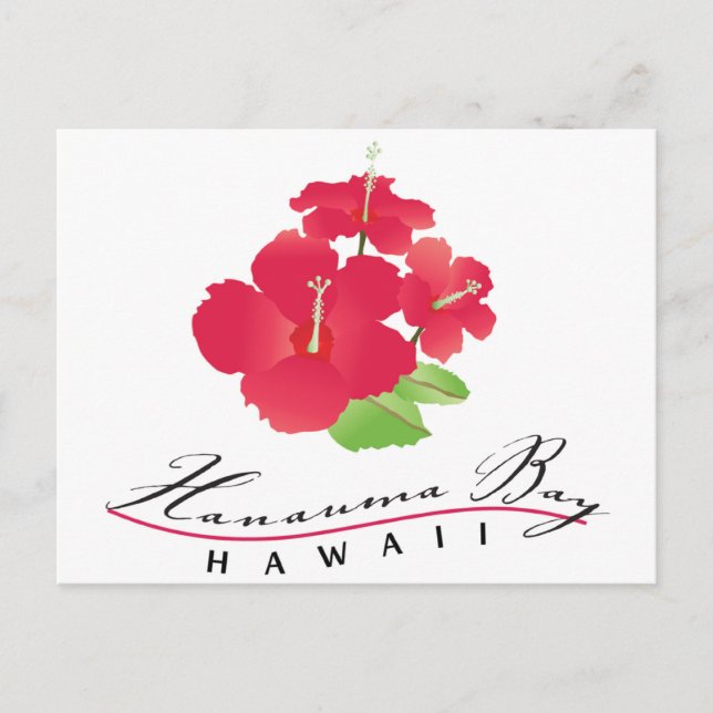 Hanauma Bay Hawaii - Blume Roter Hibiskus Postkarte (Vorderseite)