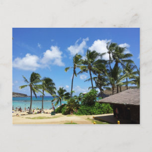 Hanauma Bay Hawaii Coconut Trees Postkarte