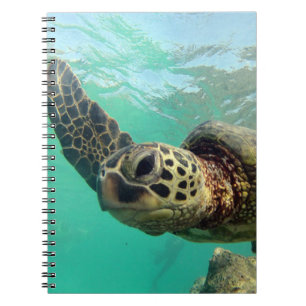 Hanauma Bucht-Hawaii-Schildkröte Notizblock