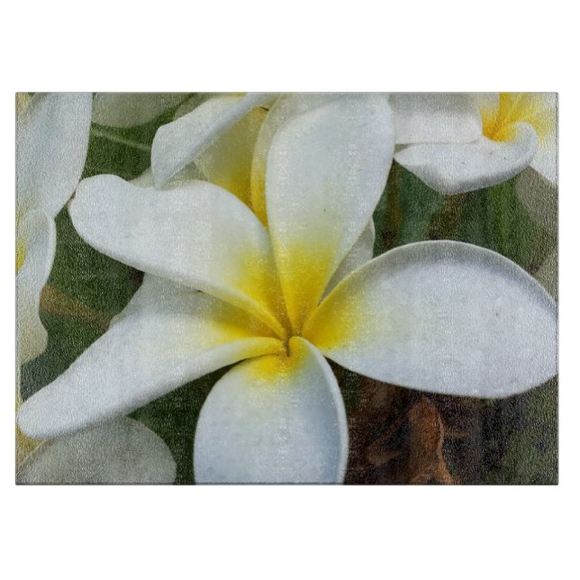 Hanauma Bucht Hawaii Schneidebrett (Vorderseite)