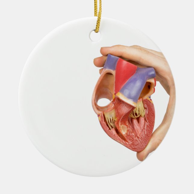 Hand, die offenes menschliches Herz des Modells Keramik Ornament (Vorne)
