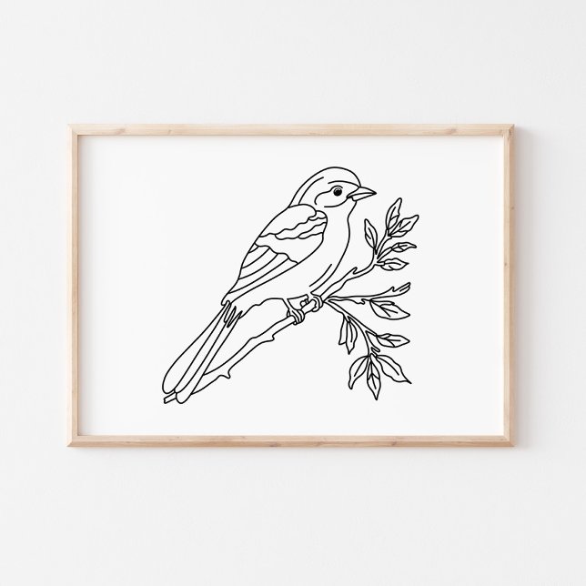 Hand-Drawn Bird Illustration Art Poster (Von Creator hochgeladen)