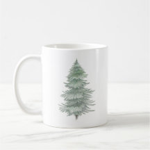 Hand Drawn Evergreen Tree