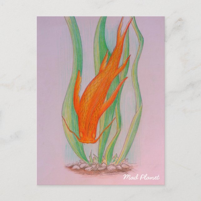 Hand Drawn Koi Carp Postkarte (Vorderseite)