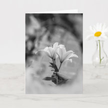 Hand mit Lilien haltend – Schwarze und weiße Beile