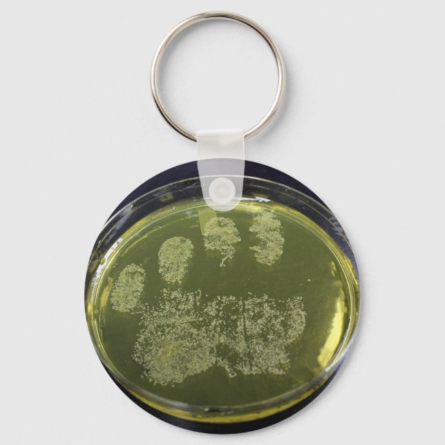 Hand Petri Dish Bacteria Schlüsselanhänger (Vorderseite)