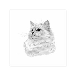 Hand zeichne lustige, flauschige Ragdoll-Katze Permastempel