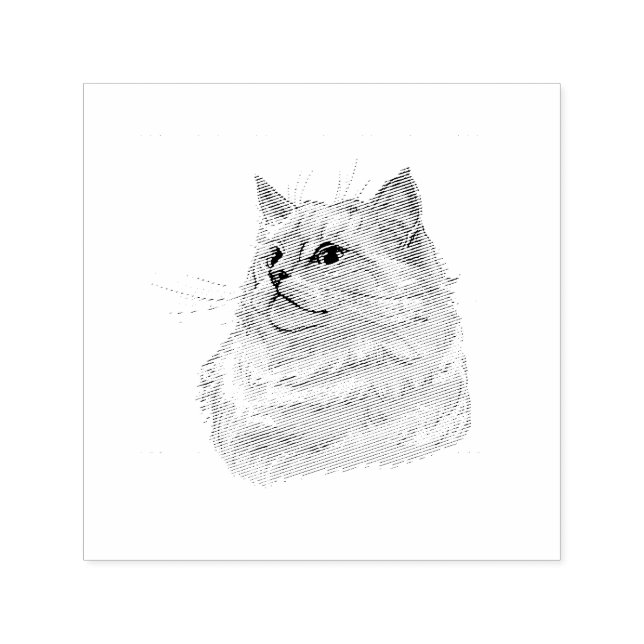 Hand zeichne lustige, flauschige Ragdoll-Katze Permastempel (Design)