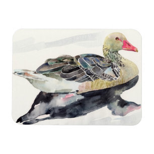 Hand zeichnen Watercolor-Vogel, Ente Magnet