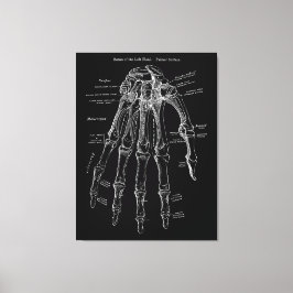 Handanatomie Große Leinwand Mauer Art 36x48"