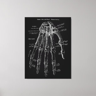 Handanatomie Große Leinwand Mauer Art 36x48"