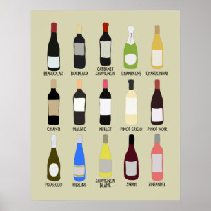 Handbuch für Weinliebhaber zur Identifizierung von Poster