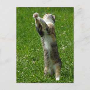 Händchen und Briefmarke Postkarte