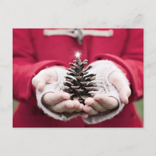 Hände mit einem Kiefernzapfen mit einem silbernen  Postkarte
