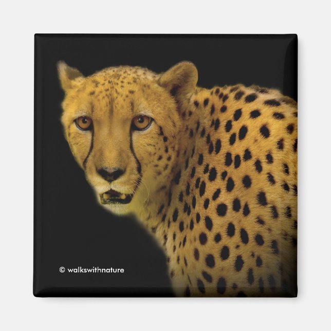 Handelsschauen mit einer prächtigen Geparden Magnet (Vorne)