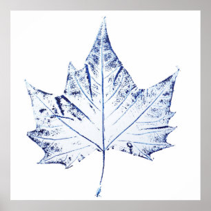 handgedruckte Pflanze, blau, 1 Ahornblatt Poster