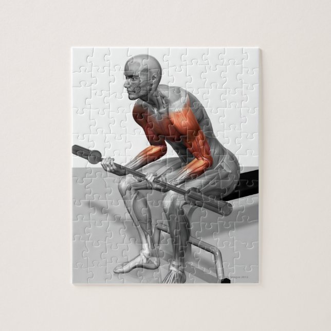 Handgelenke (Vertikal)