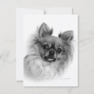Handgemalt Chihuahua-Ölportrait Postkarte