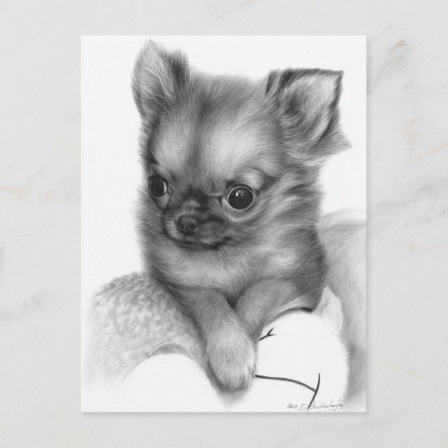 Handgemalte Chihuahua-Welpe - sanfter Blick Postkarte (Vorderseite)