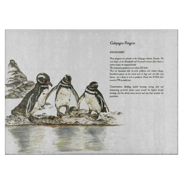Handgemalte, gefährdete Galapagos-Pinguine Schneidebrett (Vorderseite)