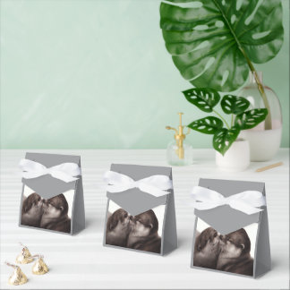 Handgemalte Otters - Zender Moment Wildlife Art Geschenkschachtel