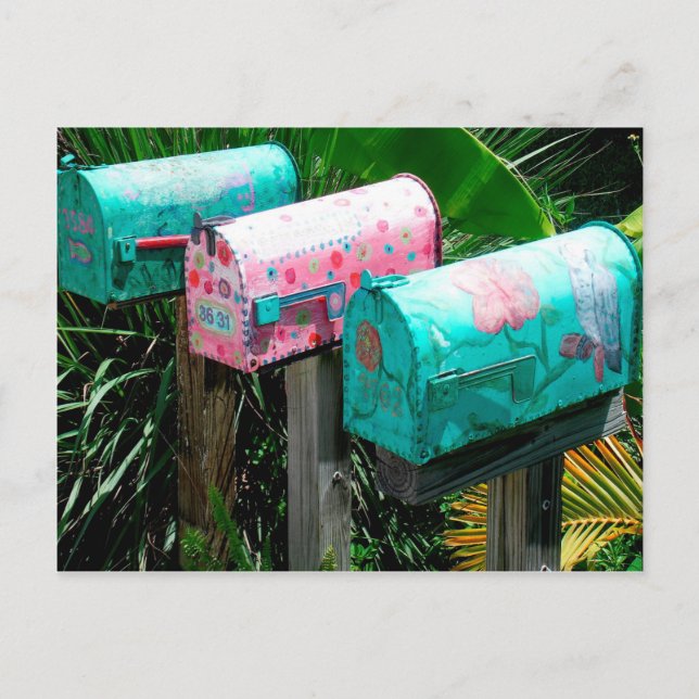 Handgemalte Postfächer in Florida Postkarte (Vorderseite)