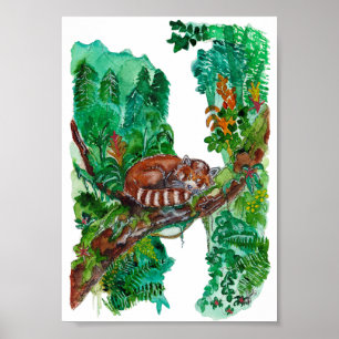 Handgemalte schlafende Rote Pandas Aquarell-Kunst Poster