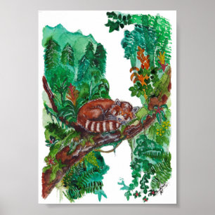Handgemalte schlafende Rote Pandas Aquarell-Kunst Poster
