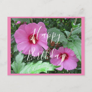 Handgeschriebene Pinke Hibiskus-Foto-Geburtstagska Postkarte