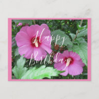 Handgeschriebene Rosa Rose von Sharon Foto Geburts