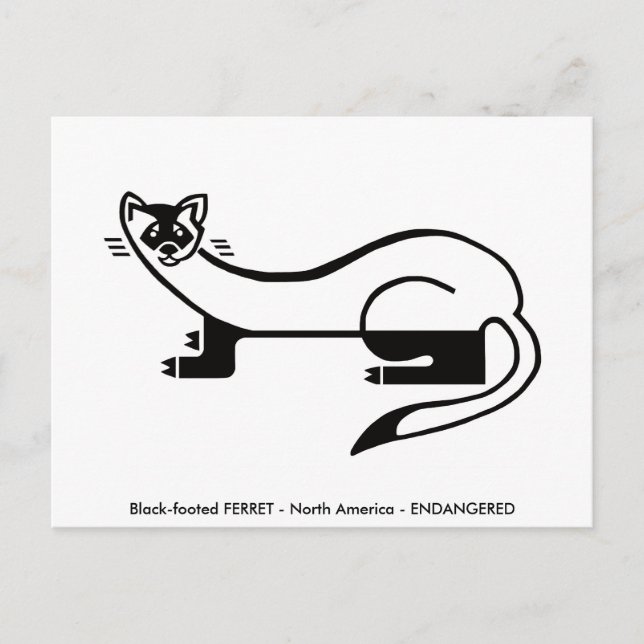 Handgezeichnet - FERRET - Erhaltung - Natur- Postkarte (Vorderseite)