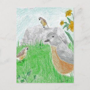 Handgezeichnet Springtime Daffodils Robins Postkarte