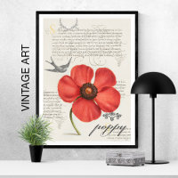 HandGezeichnet Vintager Roter Mohn 🌸 Schluckskite