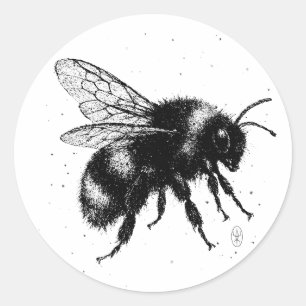 Handgezeichnete Bienen-Illustration – Detaillierte Runder Aufkleber