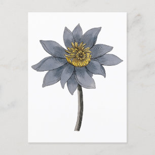 Handgezeichnete blaue Lotus-Abbildung Postkarte