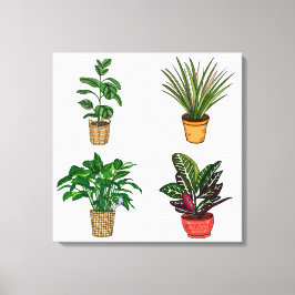 Handgezeichnete Hauspflanze Kunst Leinwanddruck