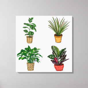 Handgezeichnete Hauspflanze Kunst Leinwanddruck