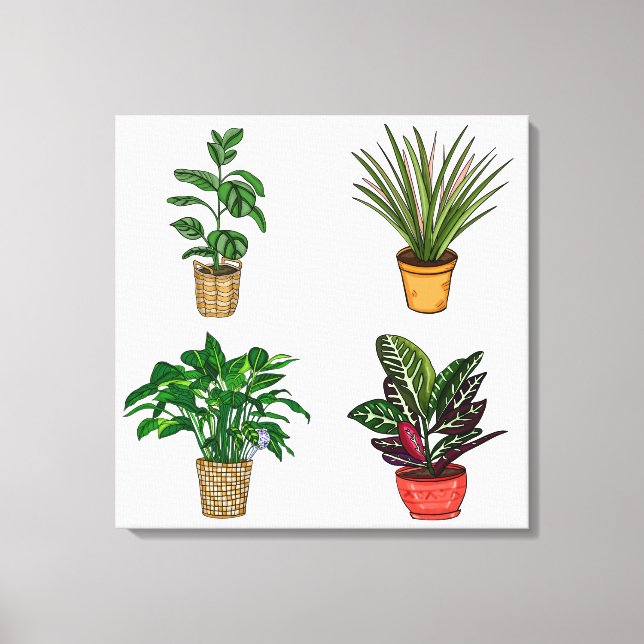 Handgezeichnete Hauspflanze Kunst Leinwanddruck (Vorderseite)