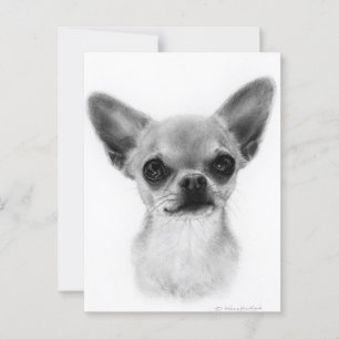 Handgezeichnete Kurz haarige Chihuahua - Gentle Ex Postkarte